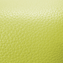 Lime Swatch